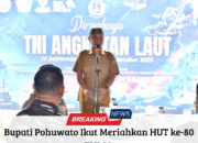 Bupati Pohuwato Ikut Meriahkan HUT ke-80 TNI AL