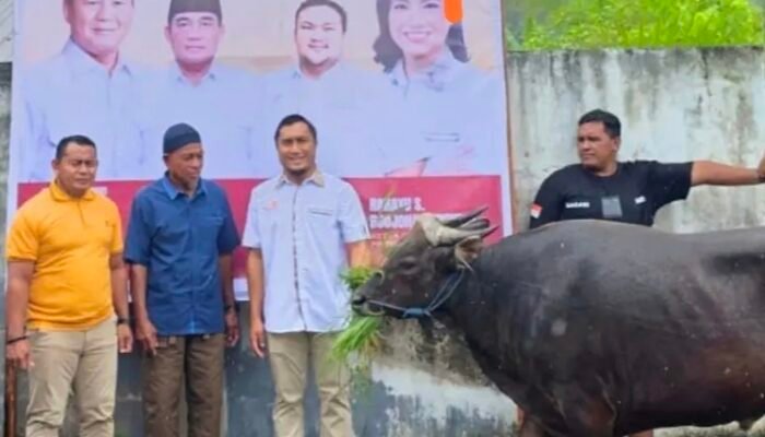 Sambut Idul Adha, PD TIDAR Sulut Sasar Manganitu Selatan untuk Berbagi Hewan Kurban